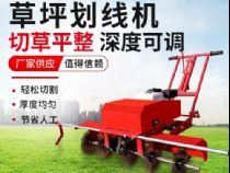 點(diǎn)擊查看詳細(xì)信息<br>標(biāo)題：草皮劃線機(jī) 閱讀次數(shù)：2169